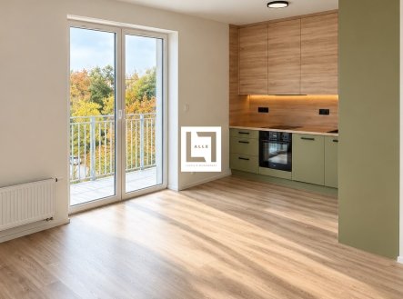 Pronájem bytu, 1+kk, 27 m²
