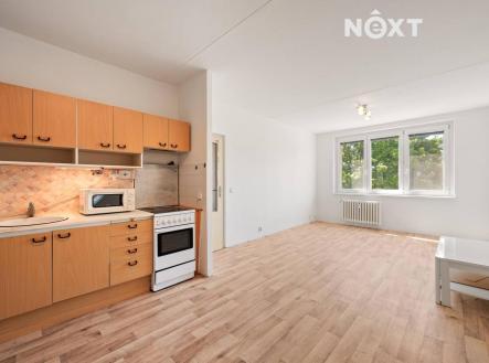 Prodej bytu, 2+kk, 49 m²