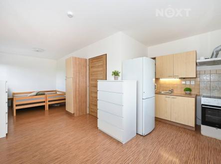 Pronájem bytu, 1+kk, 33 m²