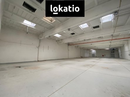 Nemovitost
