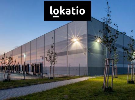 Pronájem komerčního objektu, sklad, 10 446 m²