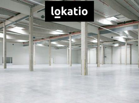 Pronájem komerčního objektu, sklad, 10 446 m²