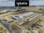 Pronájem komerčního objektu, sklad, 8 150 m²