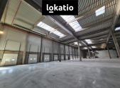 Pronájem komerčního objektu, sklad, 11 000 m²