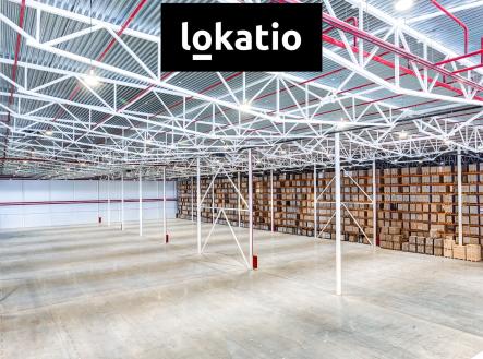 Pronájem komerčního objektu, sklad, 40 900 m²