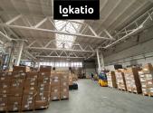 Pronájem komerčního objektu, sklad, 1 256 m²