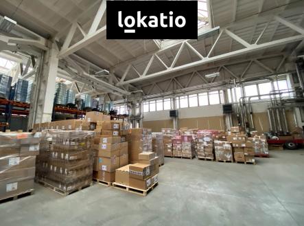 Pronájem komerčního objektu, sklad, 1 256 m²