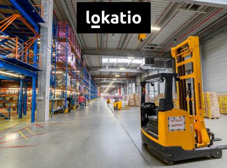 Pronájem komerčního objektu, sklad, 1 000 m²