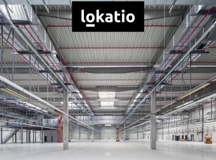 Pronájem komerčního objektu, sklad, 7 461 m²