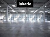 Pronájem komerčního objektu, sklad, 29 524 m²