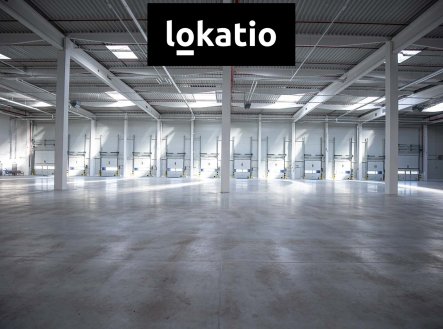 Nemovitost