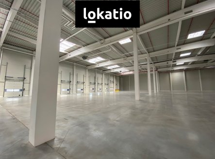 Nemovitost