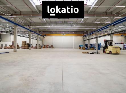 Pronájem komerčního objektu, sklad, 12 026 m²