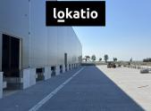 Pronájem komerčního objektu, sklad, 10 800 m²