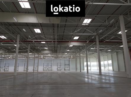 Pronájem komerčního objektu, sklad, 19 910 m²