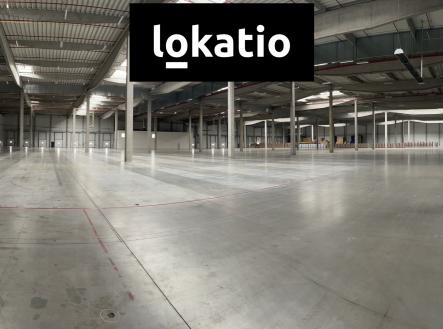 Pronájem komerčního objektu, sklad, 3 000 m²