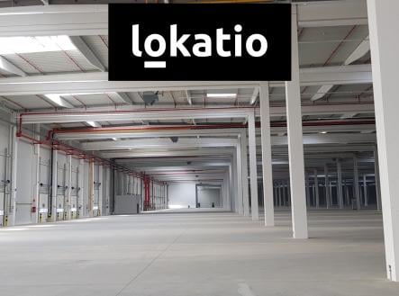 Pronájem - komerční objekt, sklad, 6 248 m²