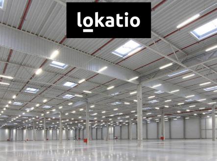 Pronájem komerčního objektu, sklad, 29 620 m²