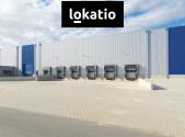 Pronájem komerčního objektu, sklad, 5 000 m²