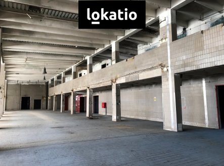 Nemovitost
