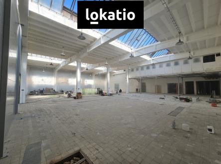 Pronájem komerčního objektu, sklad, 1 000 m²