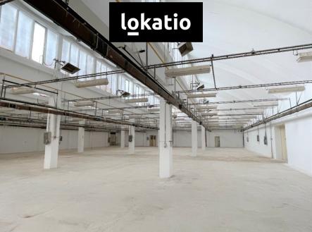 Pronájem komerčního objektu, sklad, 1 650 m²