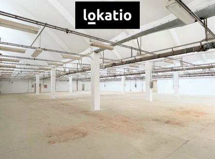 Pronájem komerčního objektu, sklad, 1 650 m²