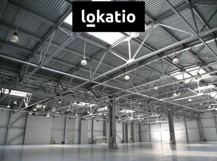 Pronájem komerčního objektu, sklad, 6 200 m²
