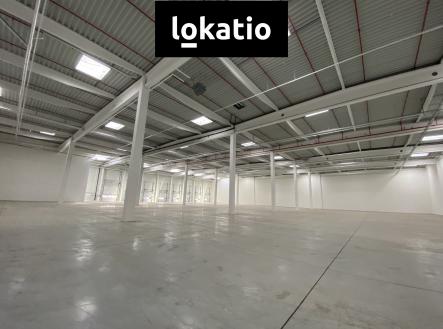 Pronájem komerčního objektu, sklad, 5 195 m²