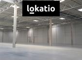 Pronájem komerčního objektu, sklad, 6 116 m²