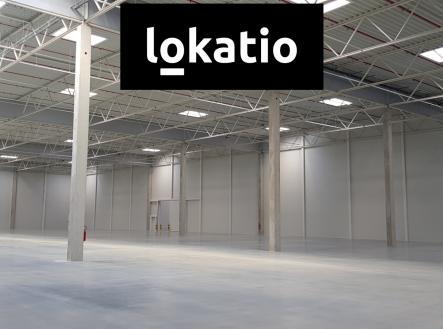 Pronájem komerčního objektu, sklad, 6 116 m²