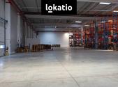 Pronájem - komerční objekt, sklad, 7 000 m²