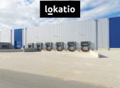 Pronájem komerčního objektu, sklad, 5 000 m²
