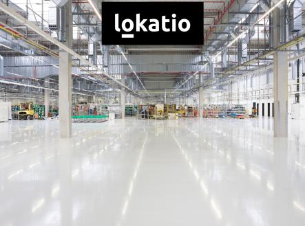Pronájem komerčního objektu, sklad, 20 000 m²