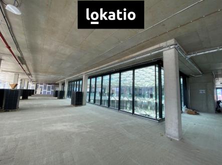 Pronájem kanceláře, 690 m²