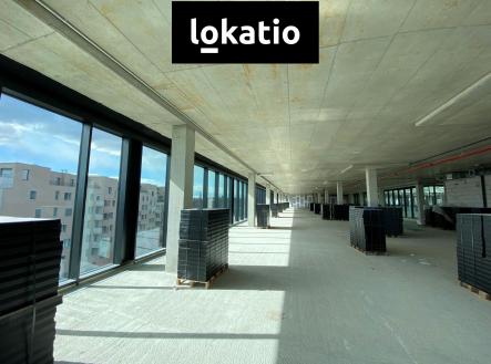 Pronájem kanceláře, 690 m²