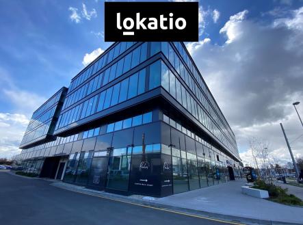 Pronájem kanceláře, 690 m²