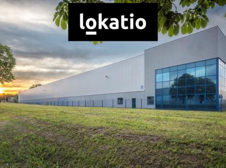 Pronájem komerčního objektu, sklad, 8 794 m²