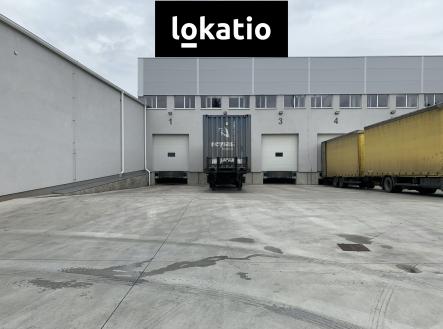 Pronájem komerčního objektu, sklad, 10 000 m²