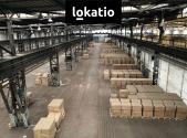 Pronájem komerčního objektu, výroba, 5 500 m²