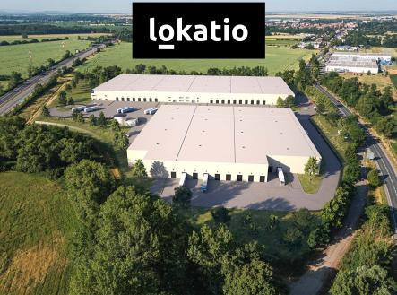 Pronájem komerčního objektu, sklad, 10 000 m²