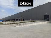 Pronájem komerčního objektu, sklad, 8 000 m²