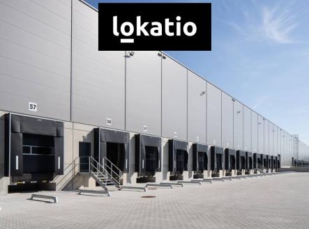 Pronájem komerčního objektu, sklad, 8 000 m²