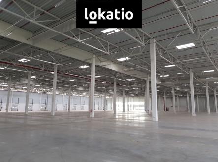 Pronájem komerčního objektu, sklad, 7 000 m²