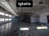 Pronájem komerčního objektu, sklad, 736 m²