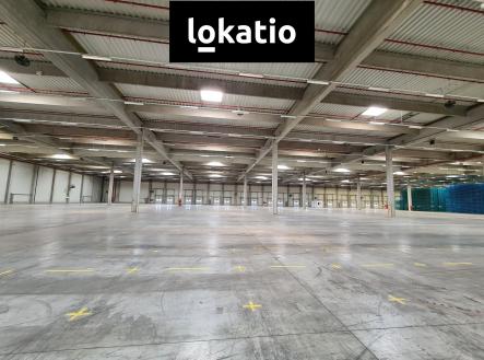 Pronájem komerčního objektu, sklad, 32 698 m²