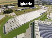Pronájem komerčního objektu, sklad, 6 662 m²