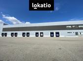 Pronájem komerčního objektu, sklad, 16 895 m²