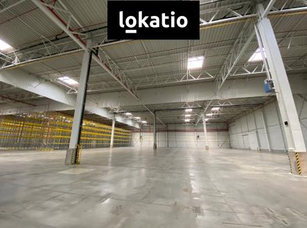 Pronájem komerčního objektu, sklad, 16 895 m²
