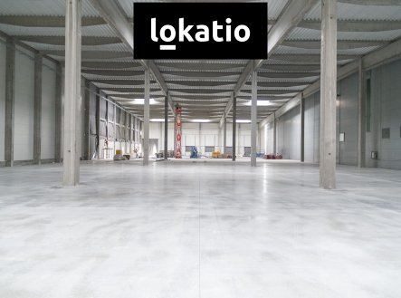 Pronájem: skladovací a logistické prostory (sklady, haly, Divišov, D1)
